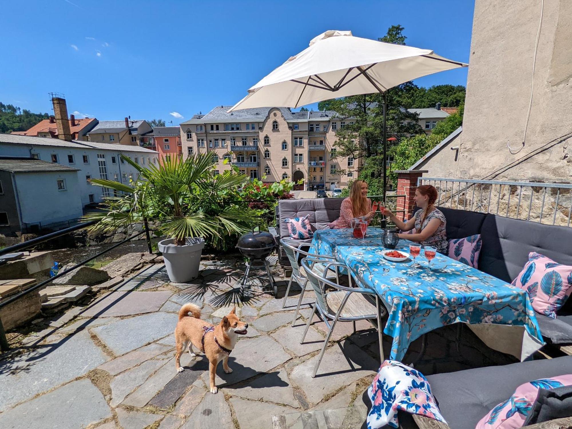 Uo2 - Urlaubsmagie - Garten, Whirlpool, Sauna Apartment Sebnitz Exterior photo